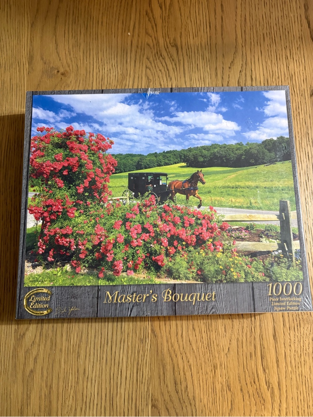 1000-Piece Jigsaw Puzzle - Vibrant Red Floral Scene